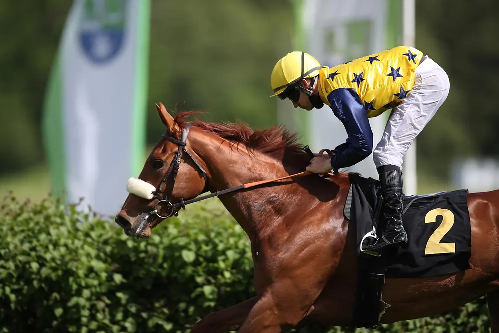 Stute Amazing Grace und Jockey Rene Piechulek 