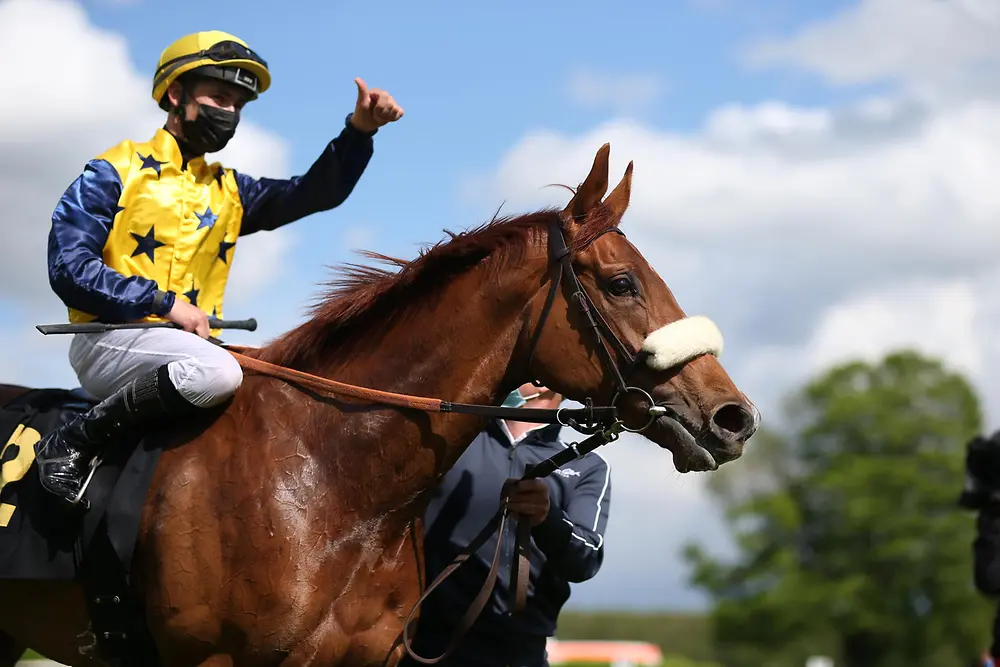 Stute Amazing Grace und Jockey Rene Piechulek 