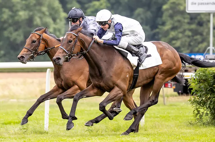 Lady Charlotte siegt beim Diana-Trial in Berlin