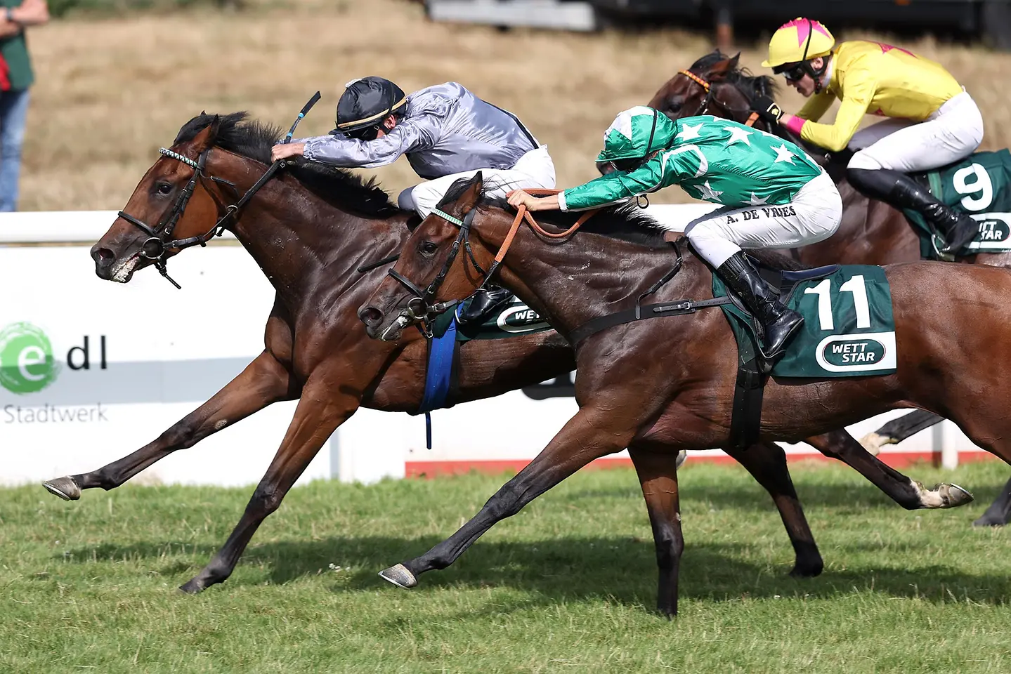 Zwei Rennpferde im Galopp während eines Pferderennens