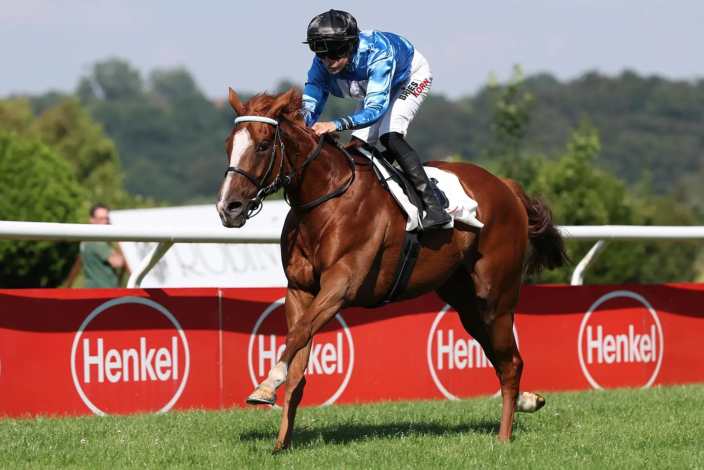Rennpferd mit Jockey vor Henkel-Bande