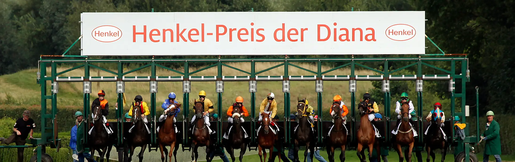 Henkel Preis der Diana