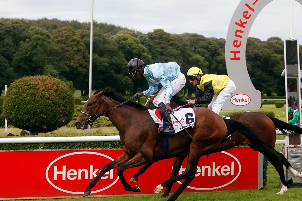 Henkel-Renntag 2016: Serienholde und Jockey Eduardo Pedroza beim Zieleinlauf des Hauptrennens