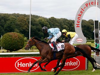 Henkel-Renntag 2016: Serienholde und Jockey Eduardo Pedroza beim Zieleinlauf des Hauptrennens